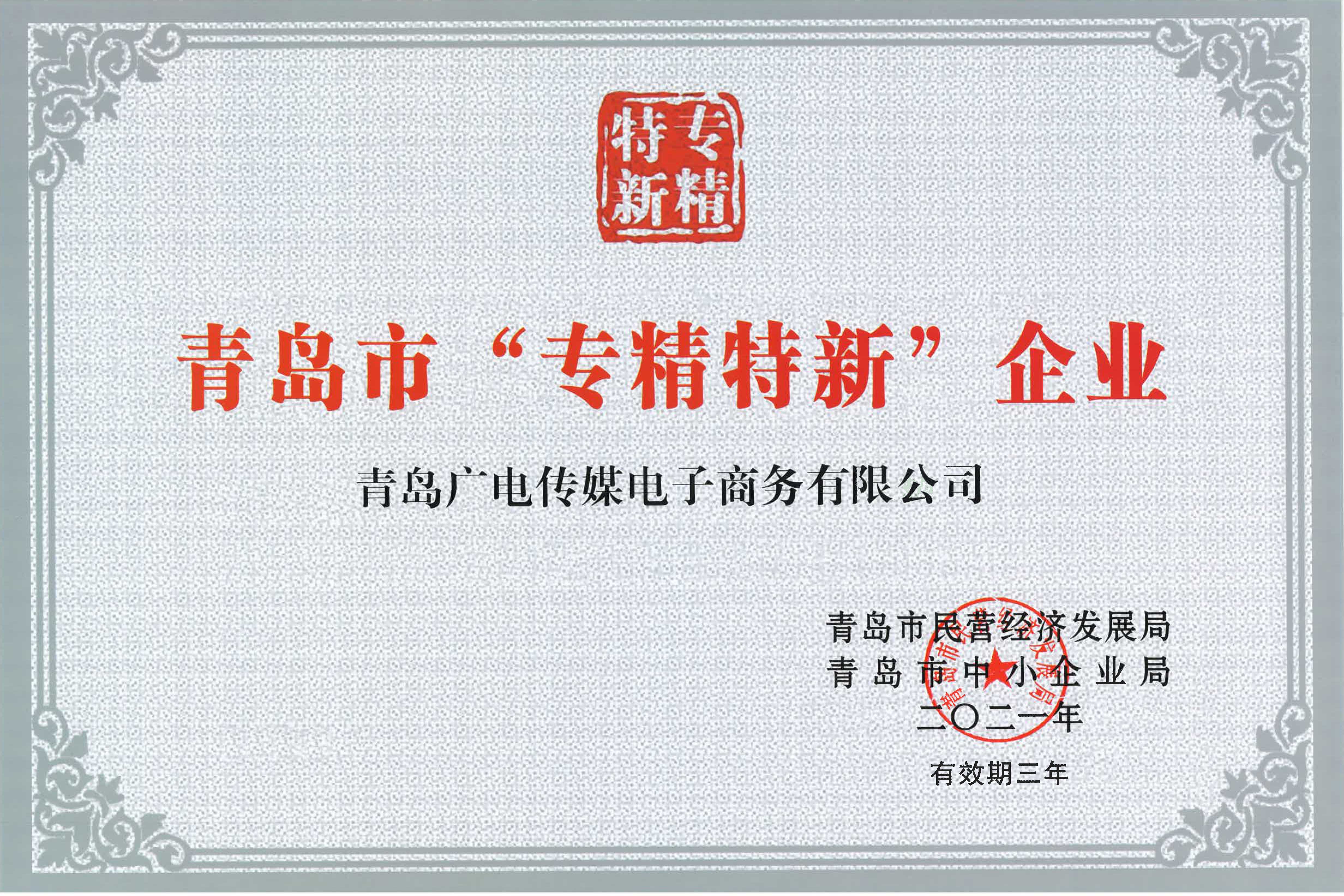 青島市“專精特新”企業(yè).jpg